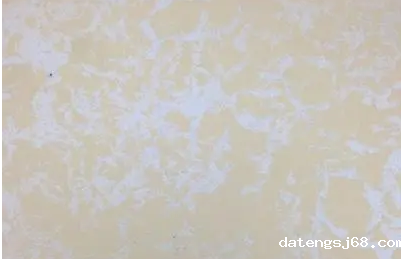 单色漆和珠光漆用什么检测